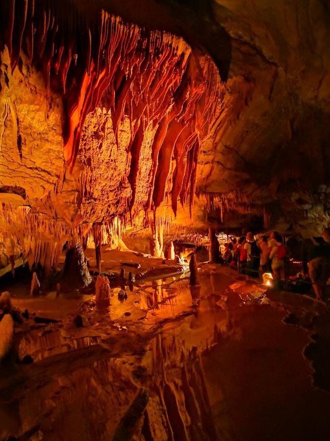 Magnifique Gite En Pierres 6 Personnes Avec Piscine Privee Ardeche Plein Sud Lablachère Buitenkant foto